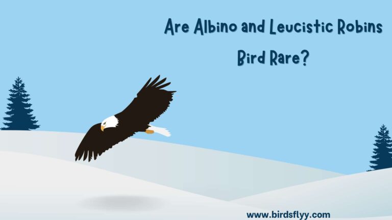 Albino and Leucistic