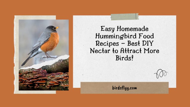 Hummingbird Food Recipes