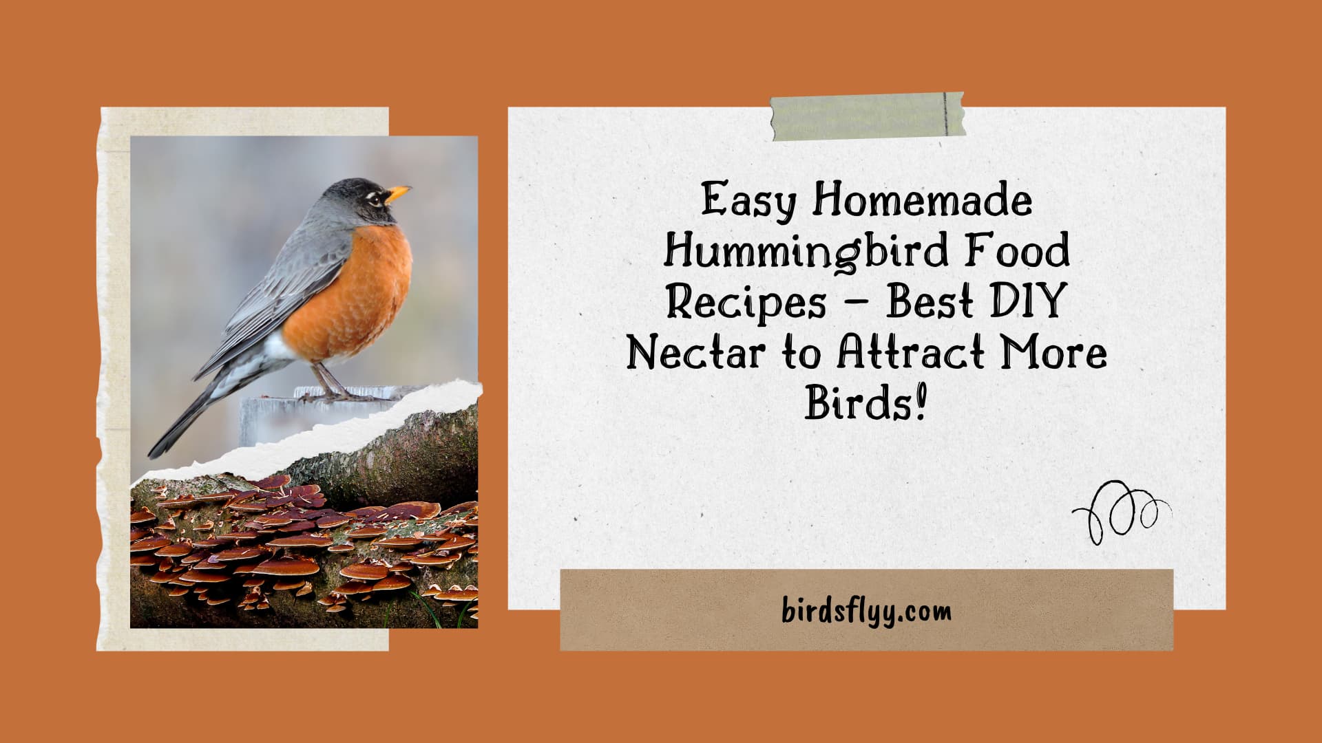 Hummingbird Food Recipes